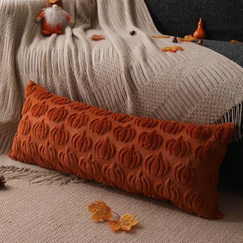 DFXSZ Fall Pillow Covers 14x36 1Pcs Rust Pumpkin Fall Decorations for Home - Image 4