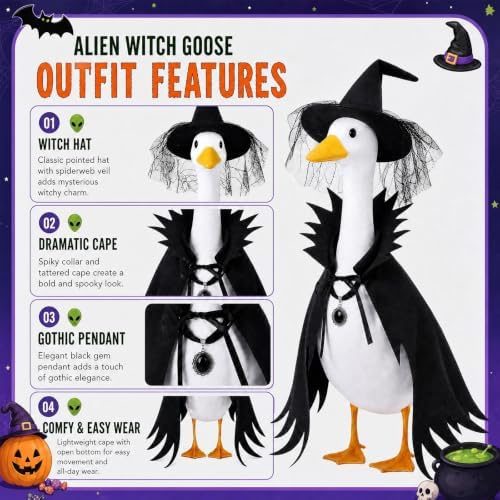 Halloween Witch Porch Goose Outfit Lace Spider Web Hat Goth Cape - Image 6