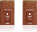 Capri Blue Pura Diffuser Refills – Luxury Home Fragrance – Long Lasting Oil Diffuser Scents with Notes of Roasted Chestnut, Bitter Orange & Black Cardamom (Chestnut Embers, Pack of 2 Pura Refills)