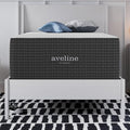 Modway Aveline 16” Gel Infused Memory Mattress with CertiPUR-US Certified Foam Twin Mattress