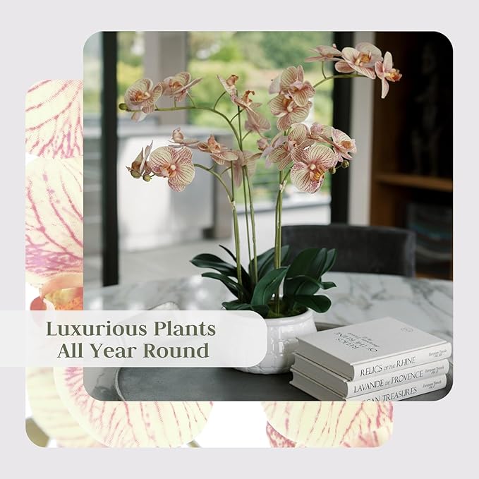 CG Hunter Faux Orange Orchid Plant, Premium Artificial Indoor Flower Display Stands 23”, Beautiful Sculptural Blooms That Lasts Forever, White Planter Pot Included