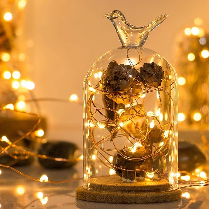 Led String Lights, Mini Battery Powered Copper Wire Starry Fairy Lights, Battery Operated Lights for Bedroom, Christmas, Parties, Wedding, Centerpiece, Decoration (5m/16ft Warm White)