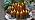YOROXRG Halloween Decoration Flickering Flameless Candles Battery Operated Timer Led Pillar Candles with Realistic Moving Wick Candles for Home Decor 24 Pack (D2.2 xH 5" 6" 7")(Grey) - Image 7