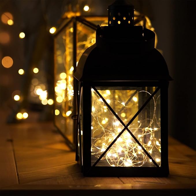 Homemory 2 Pack 33 Ft 100 LED Fairy Lights Battery Operated Christmas Lights with Remote Waterproof 8 Modes Firefly Twinkle String Lights for Christmas, Wedding Outdoor Decorations(Warm White)