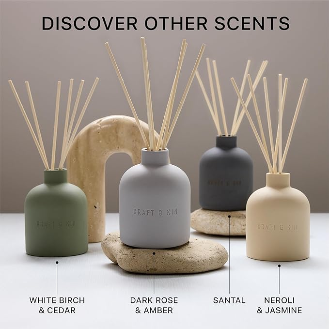 Craft & Kin Christmas Reed Diffuser for Home & Bathroom – White Birch & Cedar Holiday Reed Diffuser Set with Fragrance Sticks, Long-Lasting Alcohol-Free Winter Scent, Earthenware Collection, 6.7oz
