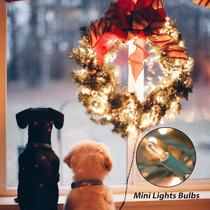 Clear Christmas String Lights 3 Pack 25 Feet 100 Counts Warm Mini Lights for Christmas Indoor Outdoor Patio Wreath Garden Wedding Party Thanksgiving Holiday Decorations, Green Wire