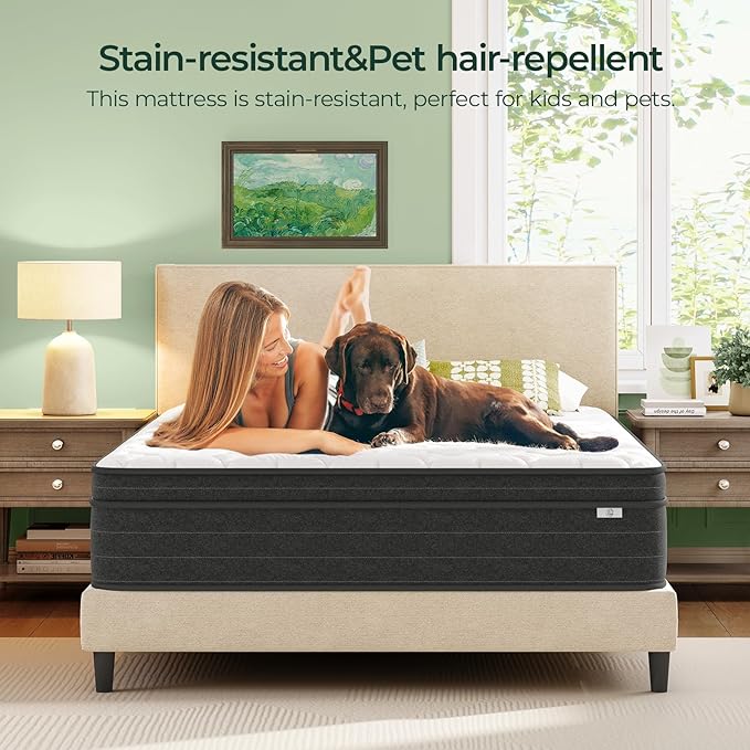 koorlian Queen Size Mattress 12 Inch - Cooling Hybrid Mattress in a Box for Back Pain Relief - Pocket Spring & Memory Foam | Fiberglass-Free, Medium Firm Feel, CertiPUR-US, 120 Nights Trial