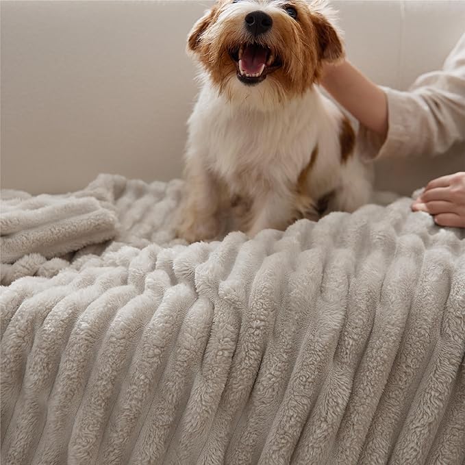 Bedsure GentleSoft Twin Blanket for Couch - Cozy Soft Blankets for Women, Cute Small Fleece Throws for Girls, Linen, 60x80 Inches