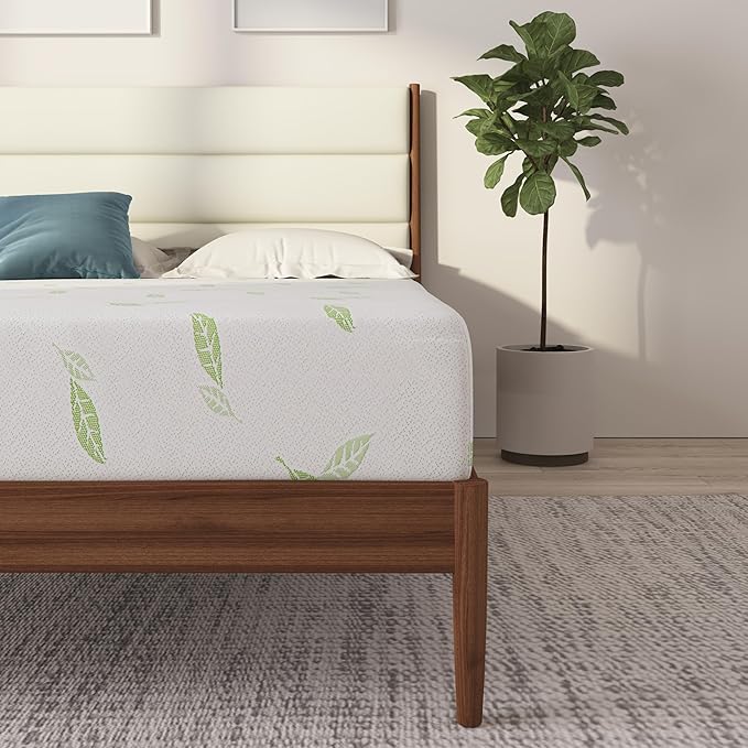 NapQueen Twin XL Size, 10 Inch Anula Green Tea Infused Memory Foam Mattress, Bed in a Box, CertiPUR-US Certified Mattress