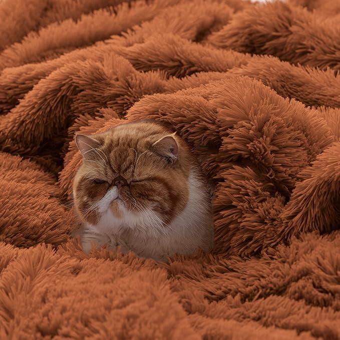Bedsure GentleSoft Fluffy Burnt Orange Blankets Queen Size for Bed, Cozy Thick Sherpa Faux Fur Fleece Fuzzy Plush Winter Warm Soft Full Queen Blankets, Bedroom Decor Orange Gifts for Women Men, 90x90