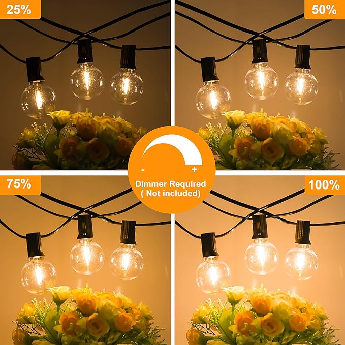 80FT Outdoor G40 LED Globe String Lights Dimmable Waterproof Shatterproof Light Strings with 40 Bulbs Connectable Commercial Hanging Lights for Christmas Patio House Backyard Balcony Party