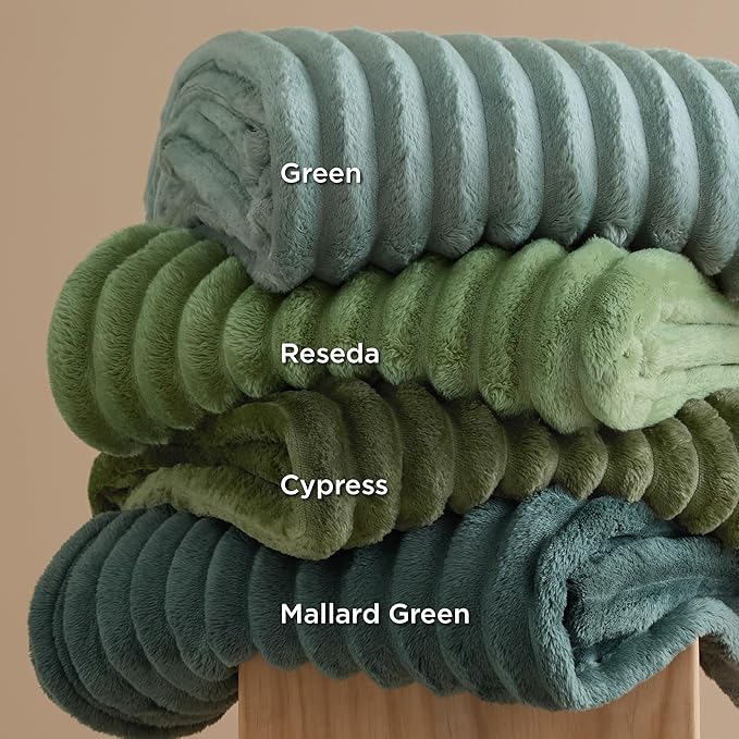 Bedsure GentleSoft Twin XL Blanket for Couch - Cozy Soft Blankets for Women, Cute Small Fleece Throws for Girls, Sage Green, 66x90 Inches