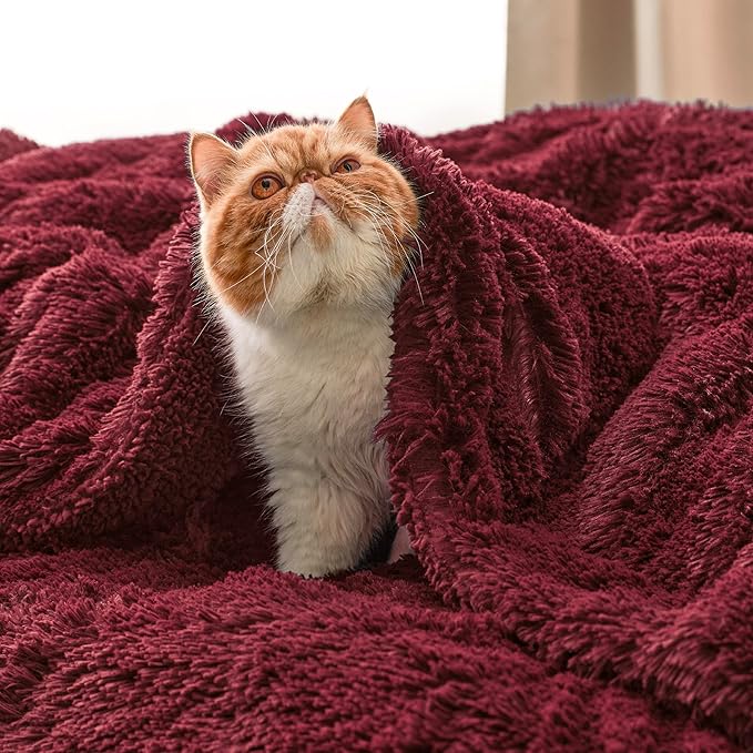 Bedsure GentleSoft Fuzzy Sherpa Faux Fur Twin Blanket Burgundy Red Cozy Gifts for Women Men, Soft Fleece Plush Warm Minky Thick Blanket Twin Size for Bed, Dorm Essentials Red Room Decor Gifts, 60x80