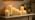 Nimiko Flameless Candles with Remote, Battery Operated Flickering Flameless Candles, LED Candles with Timer 2/4/6/8H, Realistic Drop Wax flameless Candle Set of 9 (D3 x H 3" 4" 5" 6" 7") (Ivory) - Image 7
